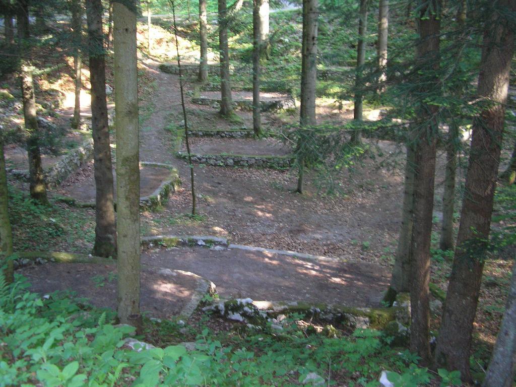 Camping Pivka Jama โพสโตยนา ภายนอก รูปภาพ
