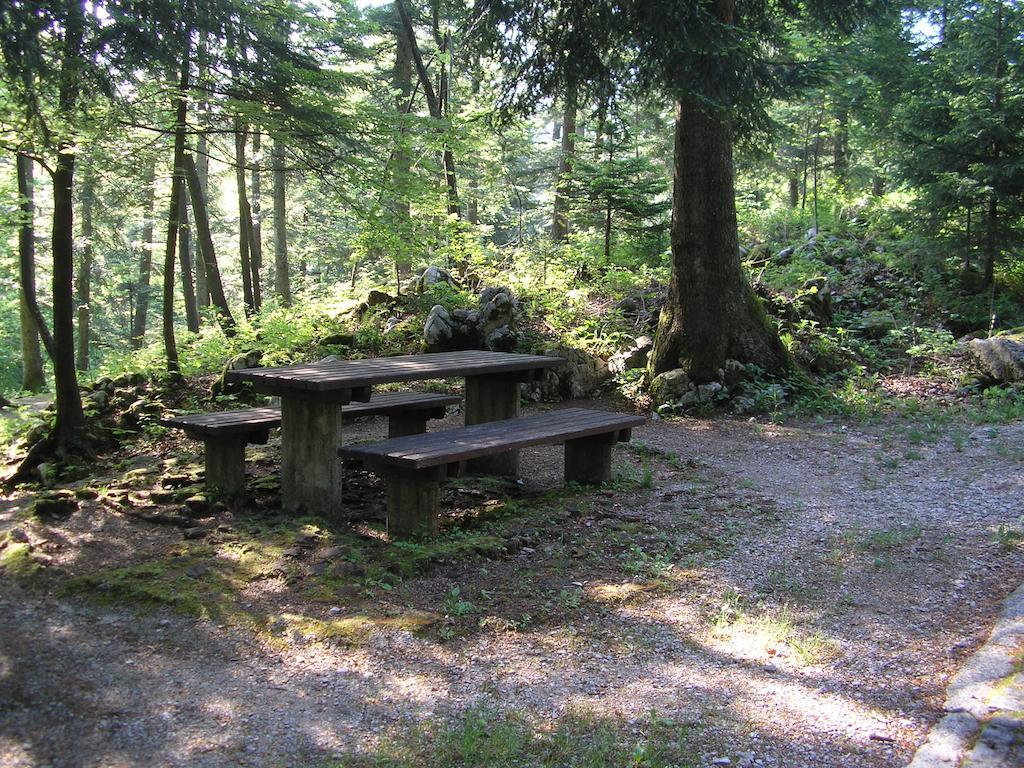 Camping Pivka Jama โพสโตยนา ภายนอก รูปภาพ